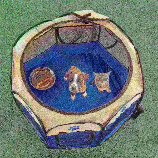 Pet Adobe Pet Adobe Pop-Up Playpen with Carrying Case, Indoor/Outdoor 26.5x 17, Dogs & Cats Blue 819024AMG - main